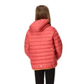 Mineral Red-Burgundy - Pack Shot - Regatta Childrens-Kids Marizion Hooded Padded Jacket