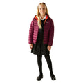 Tangerine Tango-Dark Pimento - Pack Shot - Regatta Childrens-Kids Marizion Hooded Padded Jacket