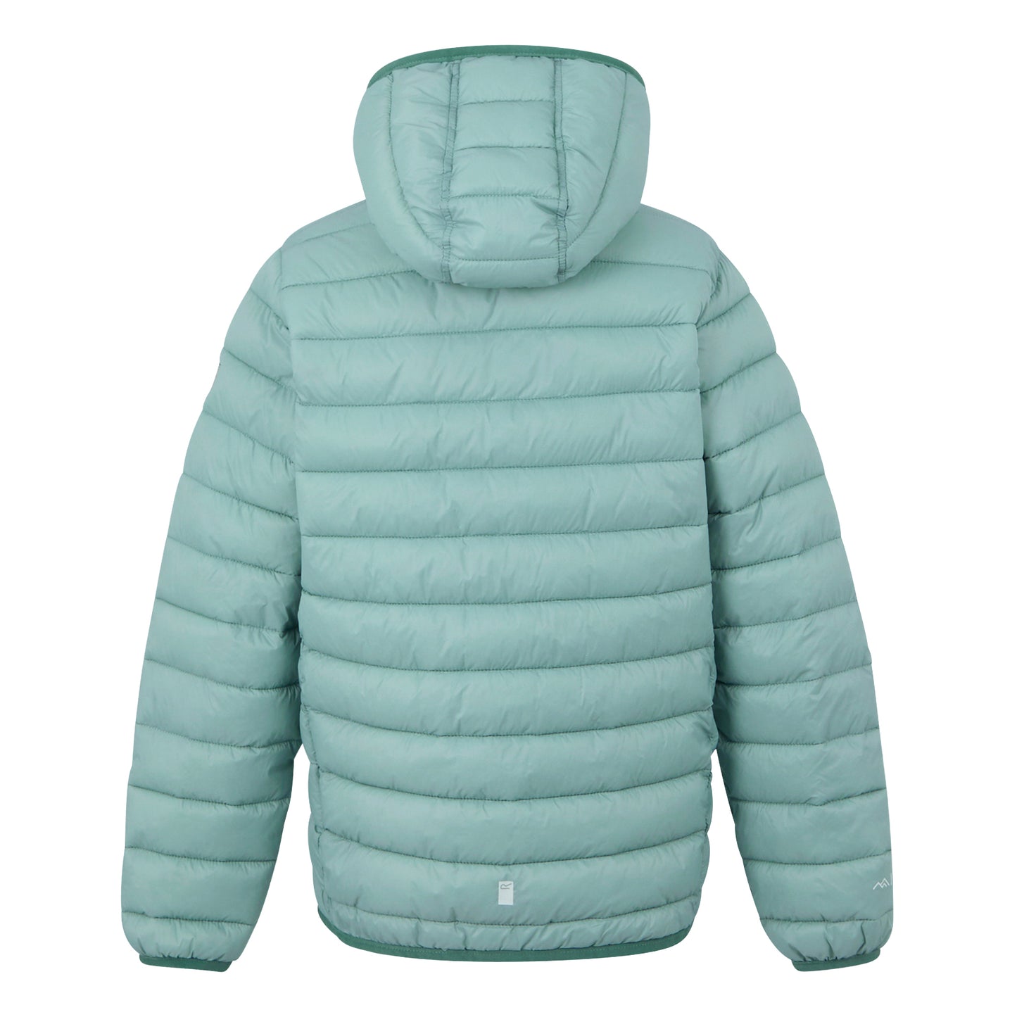 Green Haze-Spruce Green - Back - Regatta Childrens-Kids Marizion Hooded Padded Jacket