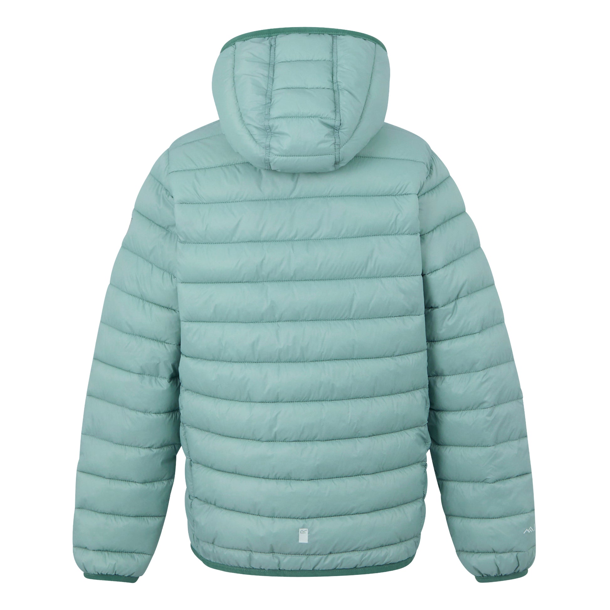 Green Haze-Spruce Green - Back - Regatta Childrens-Kids Marizion Hooded Padded Jacket