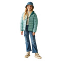 Green Haze-Spruce Green - Pack Shot - Regatta Childrens-Kids Marizion Hooded Padded Jacket