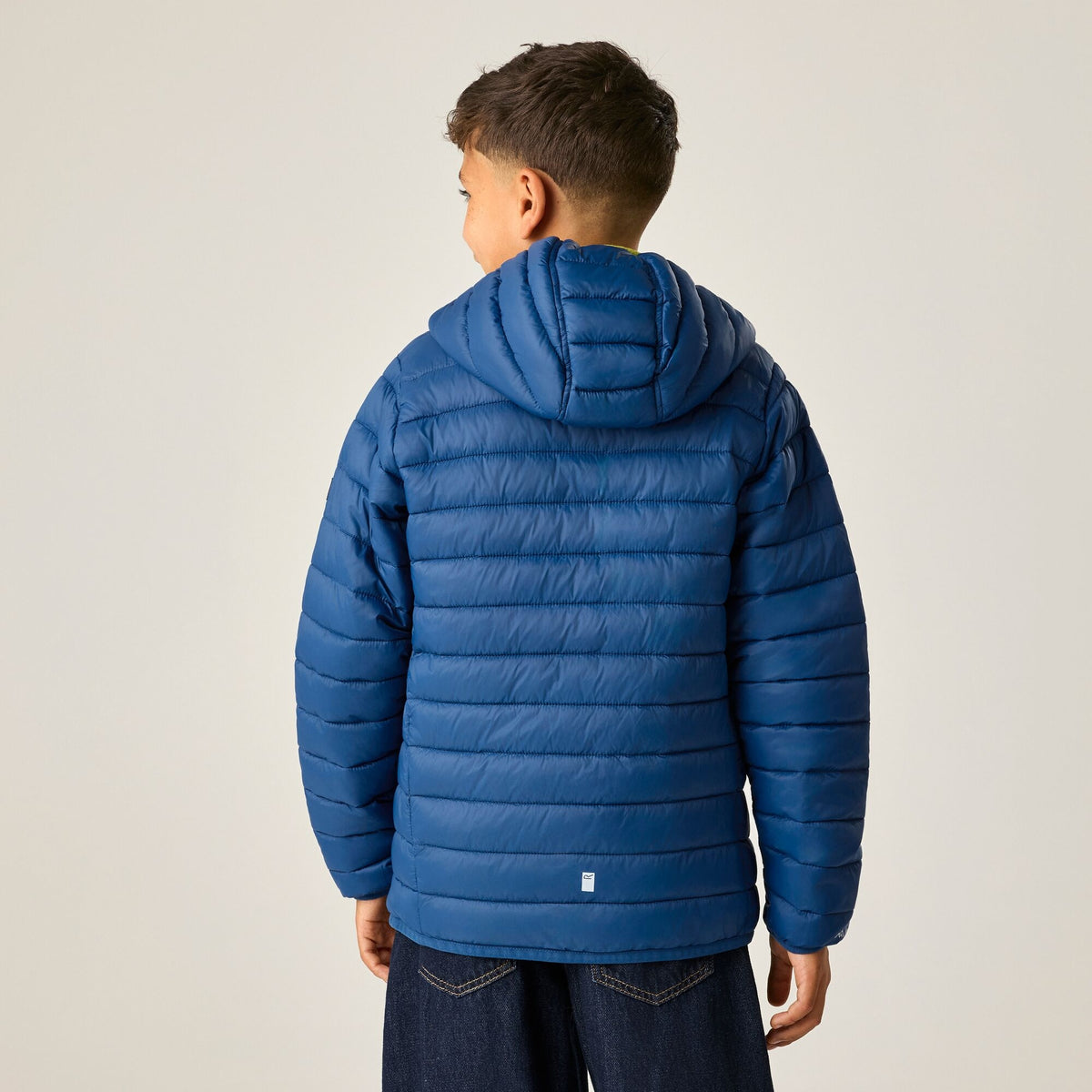 Aviator Blue-Wild Lime - Back - Regatta Childrens-Kids Marizion Hooded Padded Jacket