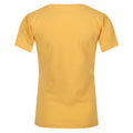 Amber Yellow - Back - Regatta Childrens-Kids Bosley VI Sunset T-Shirt