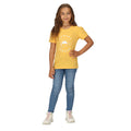 Amber Yellow - Pack Shot - Regatta Childrens-Kids Bosley VI Sunset T-Shirt