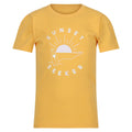 Amber Yellow - Front - Regatta Childrens-Kids Bosley VI Sunset T-Shirt