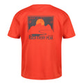Rusty Orange - Back - Regatta Childrens-Kids Alvarado VII Sunset T-Shirt