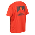 Rusty Orange - Lifestyle - Regatta Childrens-Kids Alvarado VII Sunset T-Shirt
