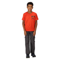 Rusty Orange - Pack Shot - Regatta Childrens-Kids Alvarado VII Sunset T-Shirt