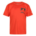 Rusty Orange - Front - Regatta Childrens-Kids Alvarado VII Sunset T-Shirt