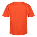Blaze Orange - Back - Regatta Childrens-Kids Alvarado VII Triangle T-Shirt