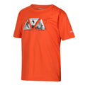Blaze Orange - Side - Regatta Childrens-Kids Alvarado VII Triangle T-Shirt