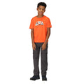 Blaze Orange - Pack Shot - Regatta Childrens-Kids Alvarado VII Triangle T-Shirt
