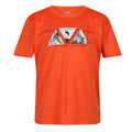 Blaze Orange - Front - Regatta Childrens-Kids Alvarado VII Triangle T-Shirt