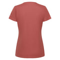 Terracotta - Back - Regatta Womens-Ladies Fingal VII Keep Going T-Shirt