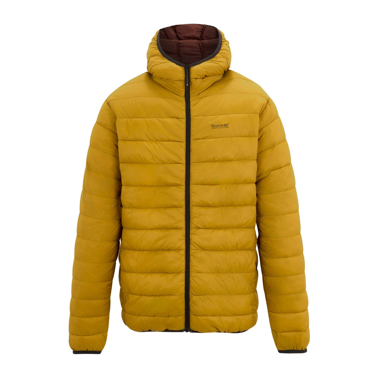 Wood Brown - Front - Regatta Mens Marizion Baffled Hooded Padded Jacket