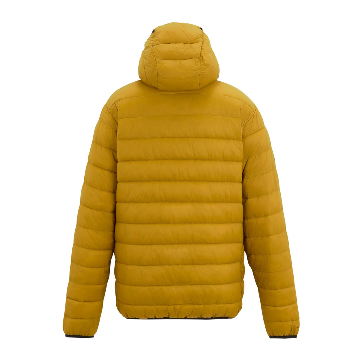 Wood Brown - Back - Regatta Mens Marizion Baffled Hooded Padded Jacket