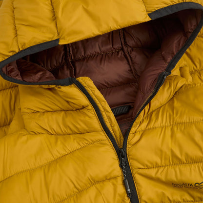 Wood Brown - Pack Shot - Regatta Mens Marizion Baffled Hooded Padded Jacket