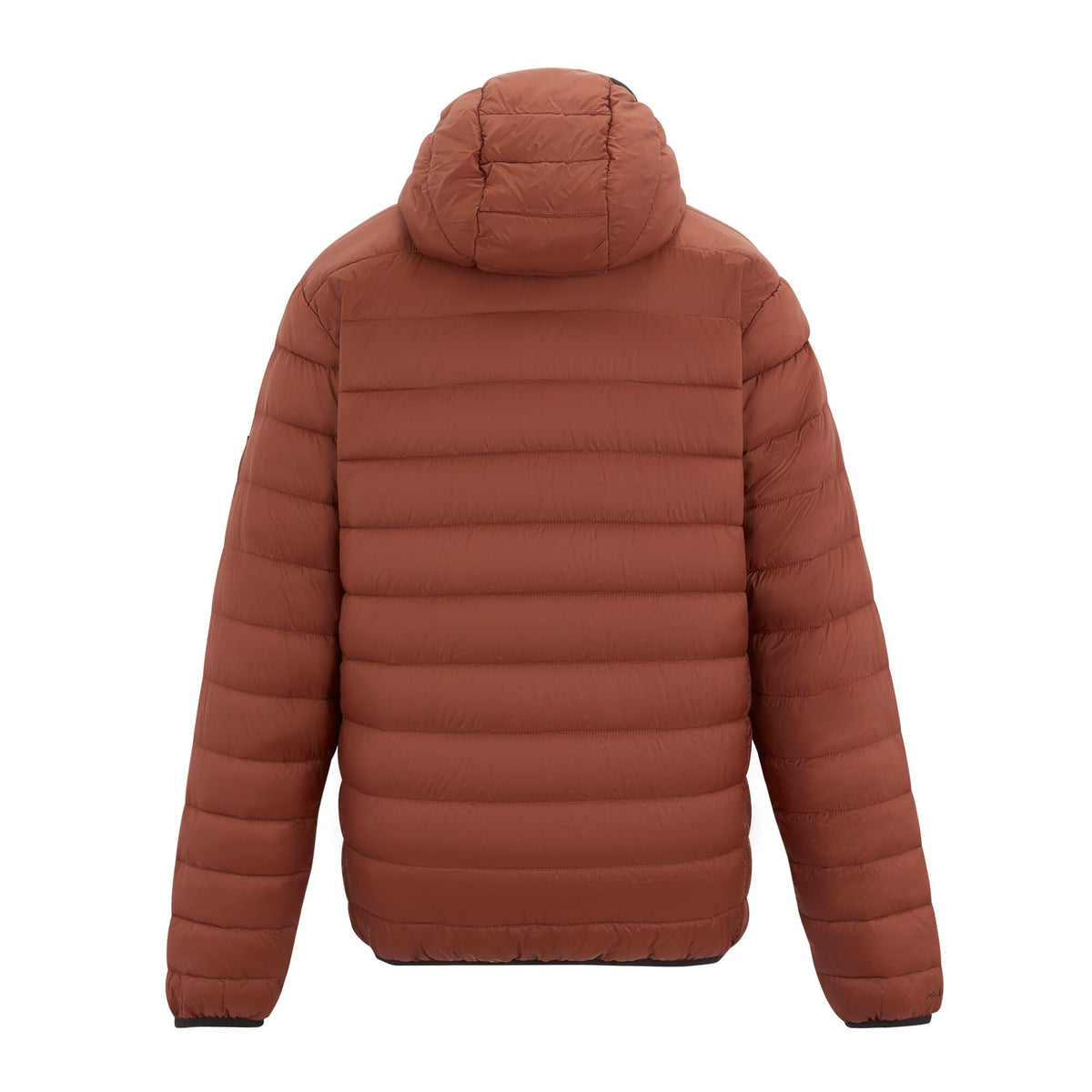 Burnt Henna - Back - Regatta Mens Marizion Baffled Hooded Padded Jacket