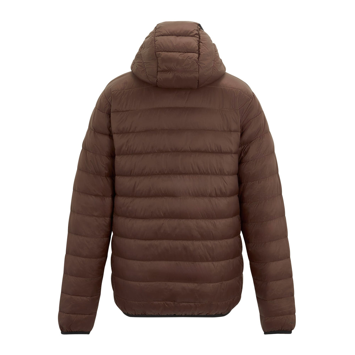 Coffee Grounds - Back - Regatta Mens Marizion Baffled Hooded Padded Jacket