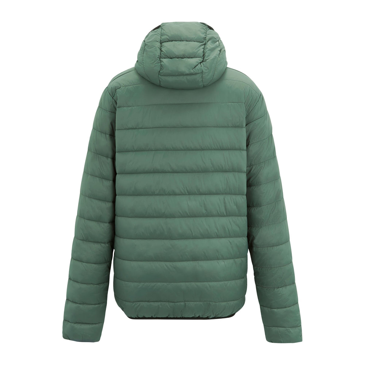 Dark Forest Green - Back - Regatta Mens Marizion Baffled Hooded Padded Jacket