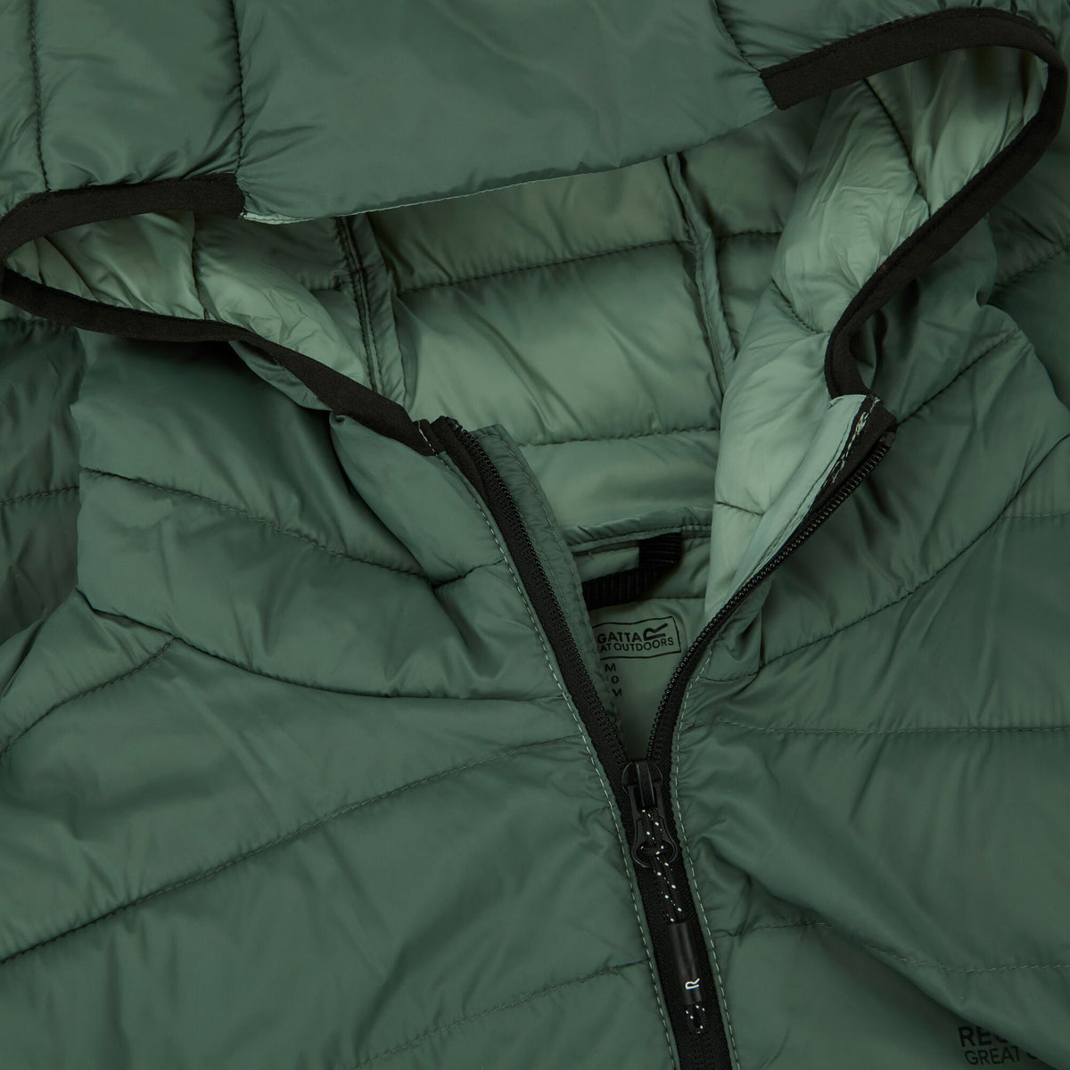 Dark Forest Green - Lifestyle - Regatta Mens Marizion Baffled Hooded Padded Jacket