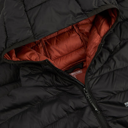 Black-Burnt Henna - Pack Shot - Regatta Mens Marizion Baffled Hooded Padded Jacket
