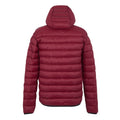 Dark Maroon - Back - Regatta Mens Marizion Baffled Hooded Padded Jacket