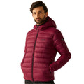 Dark Maroon - Lifestyle - Regatta Mens Marizion Baffled Hooded Padded Jacket