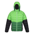 Jasmine Green-Field Green - Front - Regatta Mens Harrock II Baffled Padded Jacket
