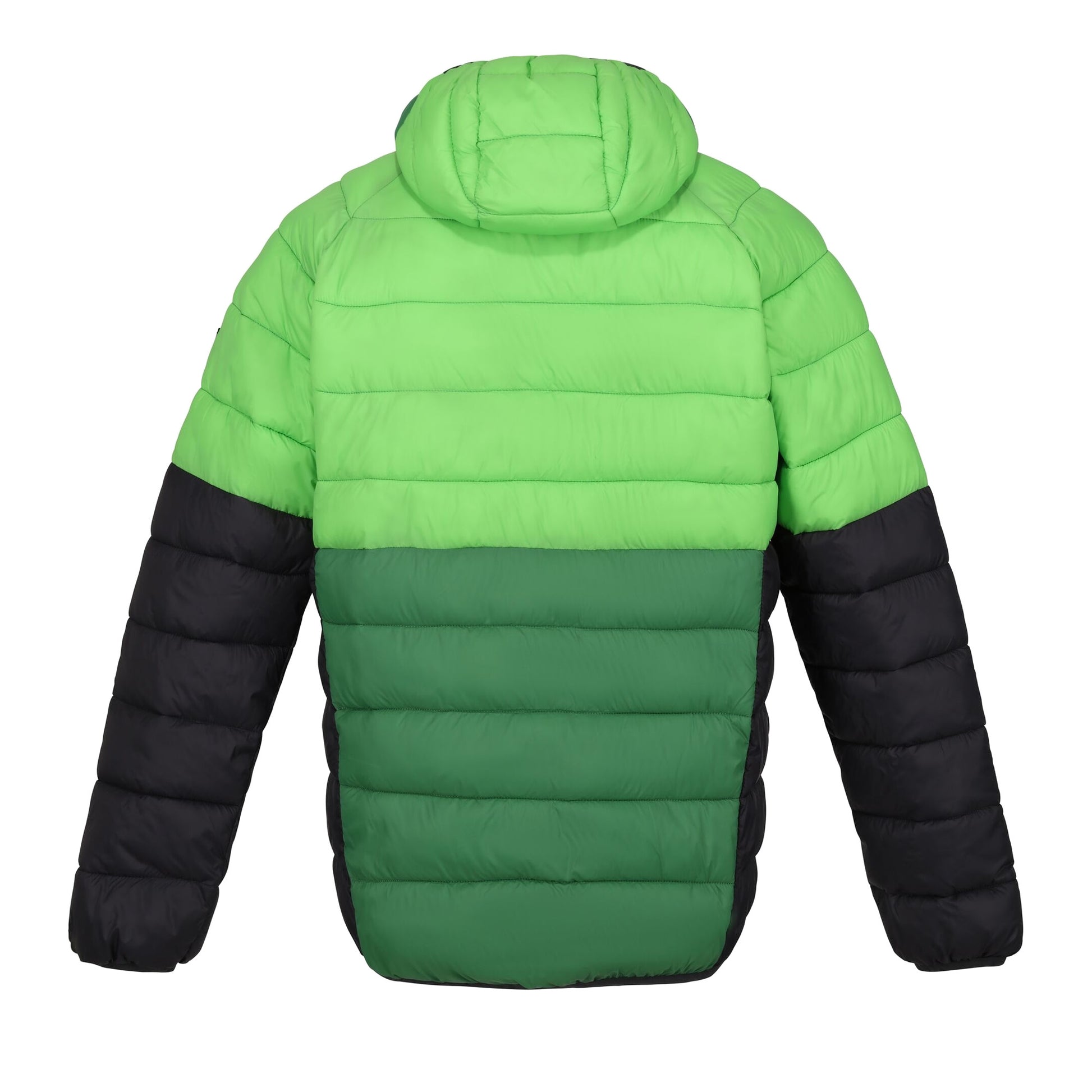Jasmine Green-Field Green - Back - Regatta Mens Harrock II Baffled Padded Jacket