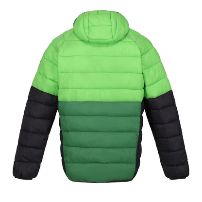 Jasmine Green-Field Green - Back - Regatta Mens Harrock II Baffled Padded Jacket