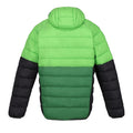 Jasmine Green-Field Green - Back - Regatta Mens Harrock II Baffled Padded Jacket