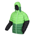 Jasmine Green-Field Green - Side - Regatta Mens Harrock II Baffled Padded Jacket