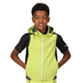 Green Algae-Seal Grey - Pack Shot - Regatta Childrens-Kids Acidity VI Lightweight Hooded Gilet