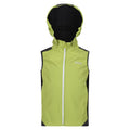 Green Algae-Seal Grey - Front - Regatta Childrens-Kids Acidity VI Lightweight Hooded Gilet