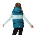 Gulfstream-Sea Haze - Pack Shot - Regatta Childrens-Kids Lofthouse Heavyweight Body Warmer