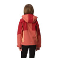 Mineral Red-Rumba Red - Pack Shot - Regatta Childrens-Kids Haydenbury Soft Shell Jacket