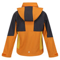 Orange Pepper-Seal Grey - Back - Regatta Childrens-Kids Haydenbury Soft Shell Jacket