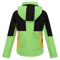 Jasmine Green-Black - Back - Regatta Childrens-Kids Haydenbury Soft Shell Jacket