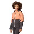 Seal Grey-Apricot Crush - Lifestyle - Regatta Childrens-Kids Haydenbury Soft Shell Jacket