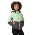 Seal Grey-Quiet Green - Lifestyle - Regatta Childrens-Kids Haydenbury Soft Shell Jacket
