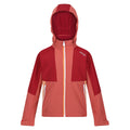 Mineral Red-Rumba Red - Front - Regatta Childrens-Kids Haydenbury Soft Shell Jacket
