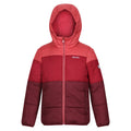 Mineral Red-Rumba Red - Front - Regatta Childrens-Kids Lofthouse VII Terrain Print Padded Jacket