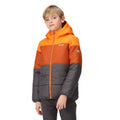 Orange Pepper-Burnt Copper - Lifestyle - Regatta Childrens-Kids Lofthouse VII Terrain Print Padded Jacket