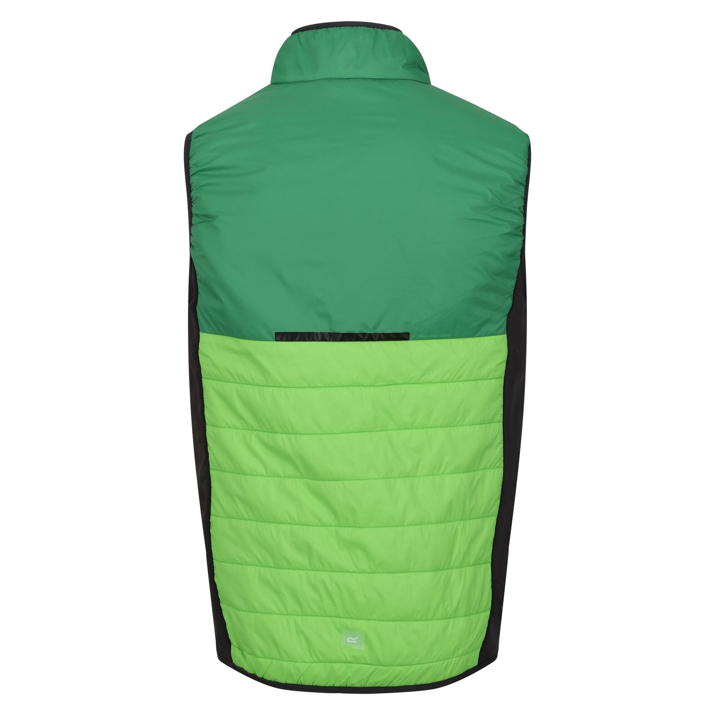 Jasmine Green-Field Green - Back - Regatta Mens Halton Baffled VII Colour Block Padded Gilet