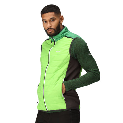 Jasmine Green-Field Green - Lifestyle - Regatta Mens Halton Baffled VII Colour Block Padded Gilet