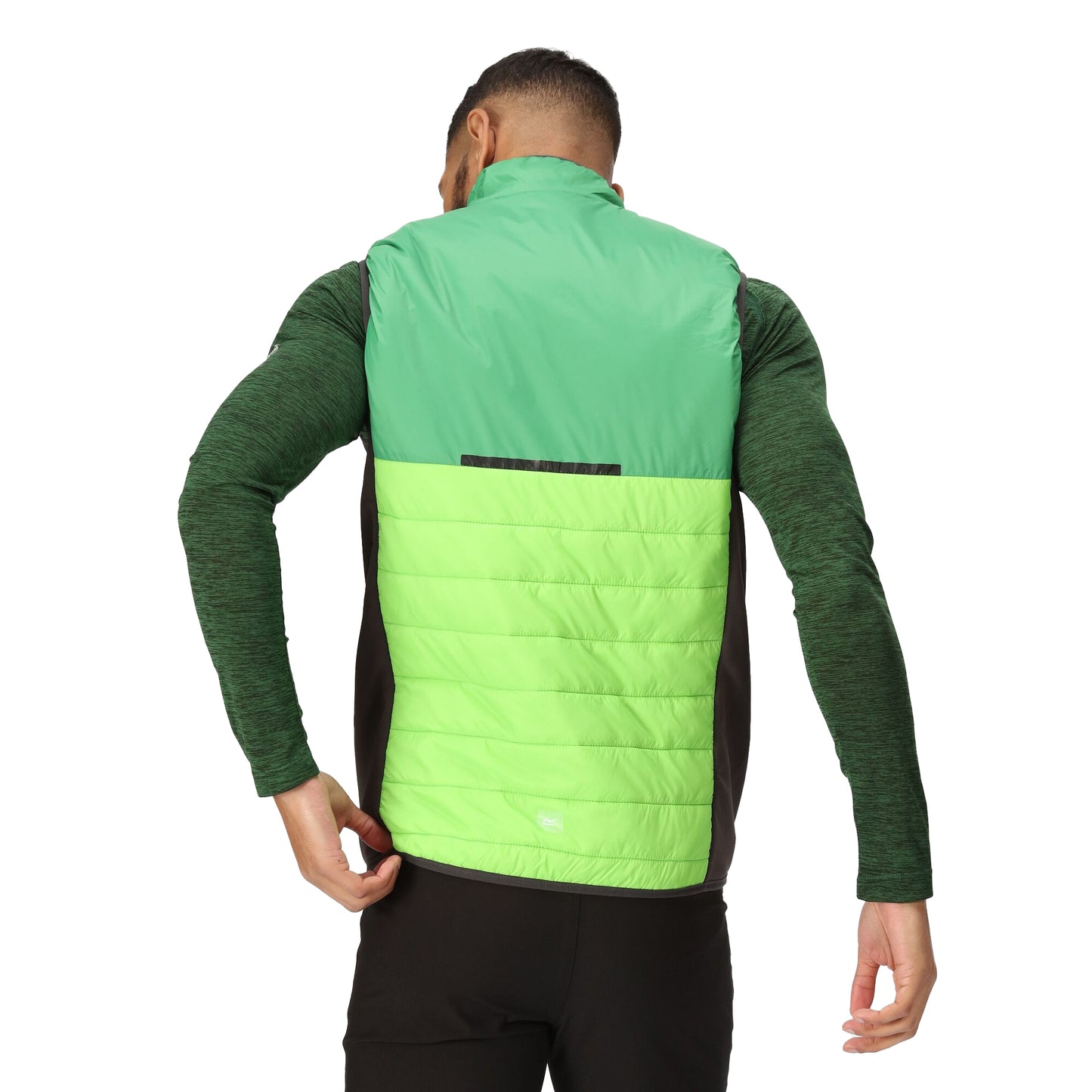 Jasmine Green-Field Green - Pack Shot - Regatta Mens Halton Baffled VII Colour Block Padded Gilet