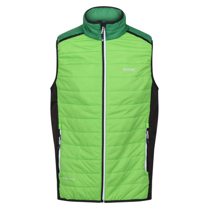 Jasmine Green-Field Green - Front - Regatta Mens Halton Baffled VII Colour Block Padded Gilet
