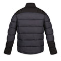 Seal Grey-Black - Back - Regatta Professional Mens Insulated Puffer Jacket