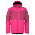 Pure Pink-Pink Hydrangea - Front - Dare 2B Childrens-Kids Slush Ski Jacket